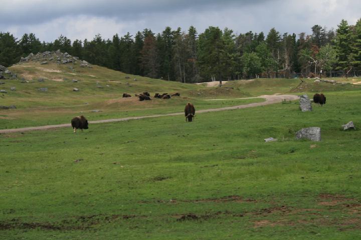 zoo 200.JPG